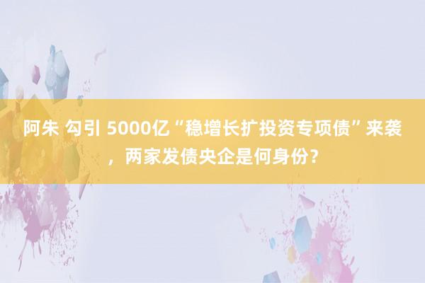 阿朱 勾引 5000亿“稳增长扩投资专项债”来袭，两家发债央企是何身份？