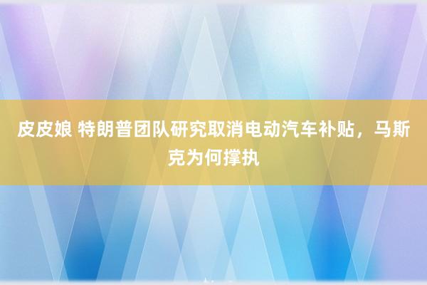 皮皮娘 特朗普团队研究取消电动汽车补贴，马斯克为何撑执