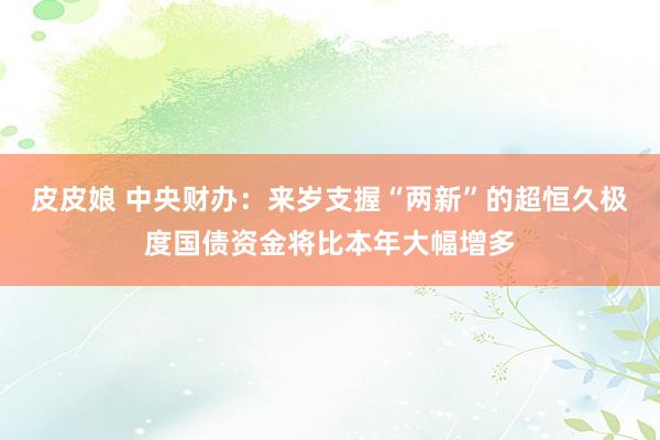 皮皮娘 中央财办：来岁支握“两新”的超恒久极度国债资金将比本年大幅增多