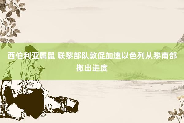 西伯利亚属鼠 联黎部队敦促加速以色列从黎南部撤出进度