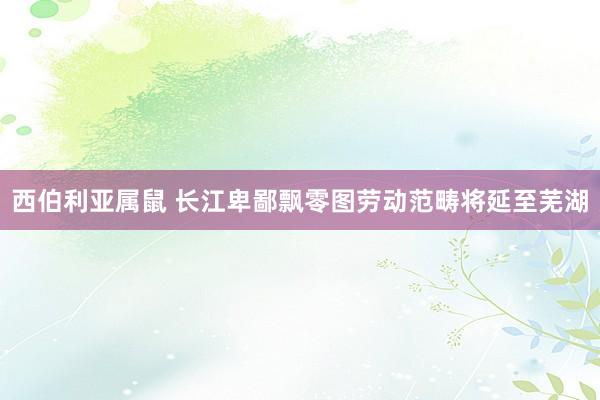 西伯利亚属鼠 长江卑鄙飘零图劳动范畴将延至芜湖