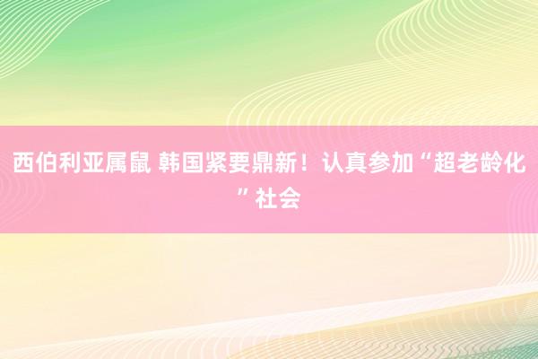西伯利亚属鼠 韩国紧要鼎新！认真参加“超老龄化”社会