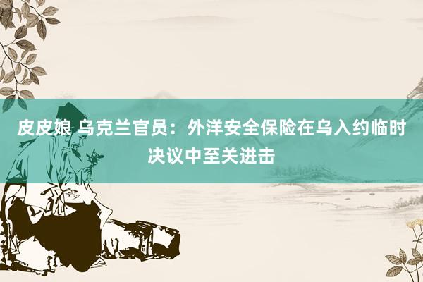 皮皮娘 乌克兰官员：外洋安全保险在乌入约临时决议中至关进击