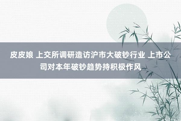 皮皮娘 上交所调研造访沪市大破钞行业 上市公司对本年破钞趋势持积极作风