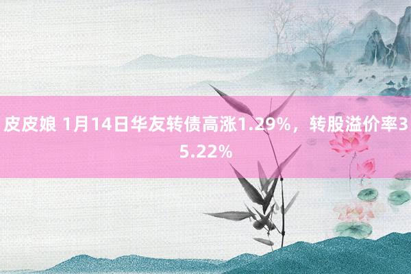 皮皮娘 1月14日华友转债高涨1.29%，转股溢价率35.22%