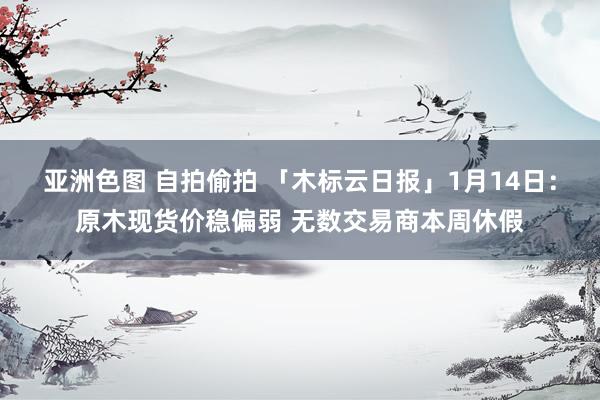 亚洲色图 自拍偷拍 「木标云日报」1月14日：原木现货价稳偏弱 无数交易商本周休假