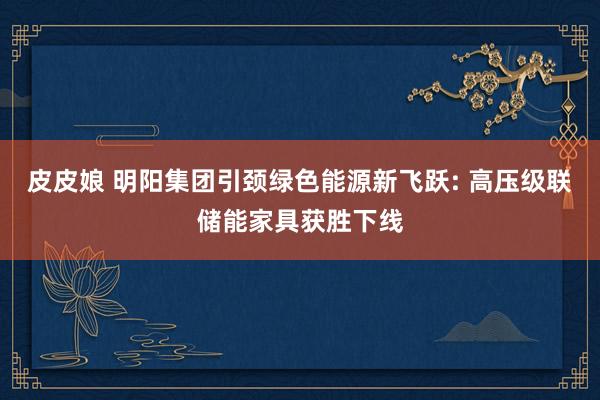 皮皮娘 明阳集团引颈绿色能源新飞跃: 高压级联储能家具获胜下线