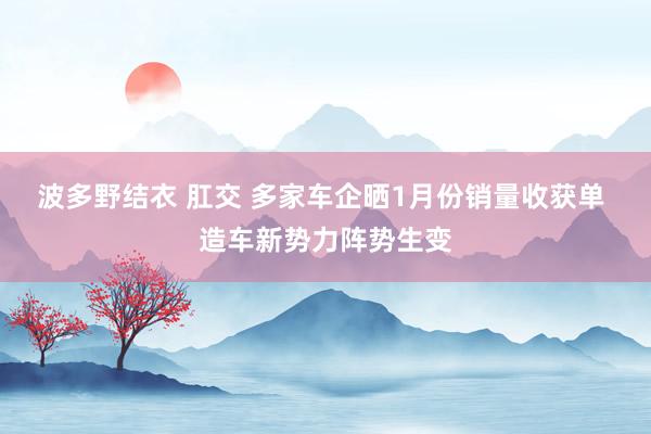 波多野结衣 肛交 多家车企晒1月份销量收获单 造车新势力阵势生变