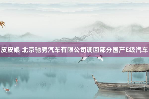 皮皮娘 北京驰骋汽车有限公司调回部分国产E级汽车