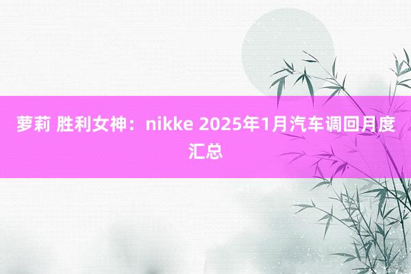 萝莉 胜利女神：nikke 2025年1月汽车调回月度汇总
