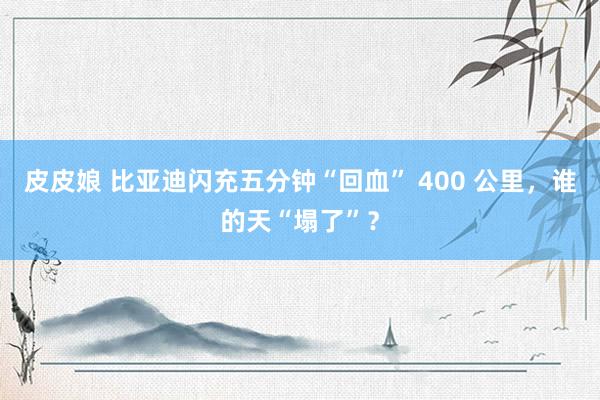 皮皮娘 比亚迪闪充五分钟“回血” 400 公里，谁的天“塌了”？