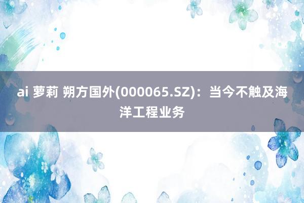 ai 萝莉 朔方国外(000065.SZ)：当今不触及海洋工程业务