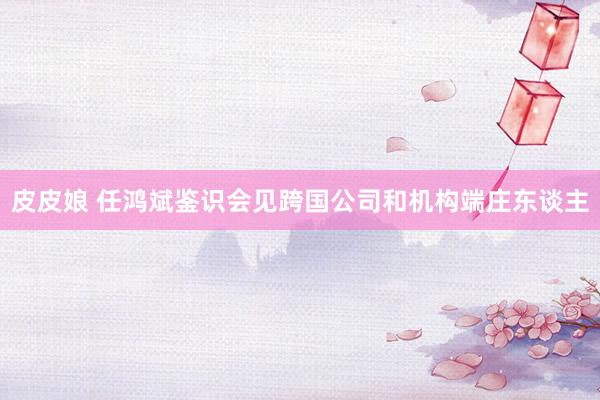 皮皮娘 任鸿斌鉴识会见跨国公司和机构端庄东谈主