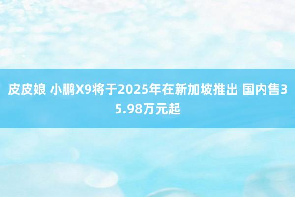 皮皮娘 小鹏X9将于2025年在新加坡推出 国内售35.98万元起