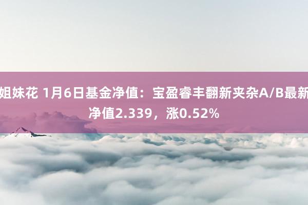 姐妹花 1月6日基金净值：宝盈睿丰翻新夹杂A/B最新净值2.339，涨0.52%