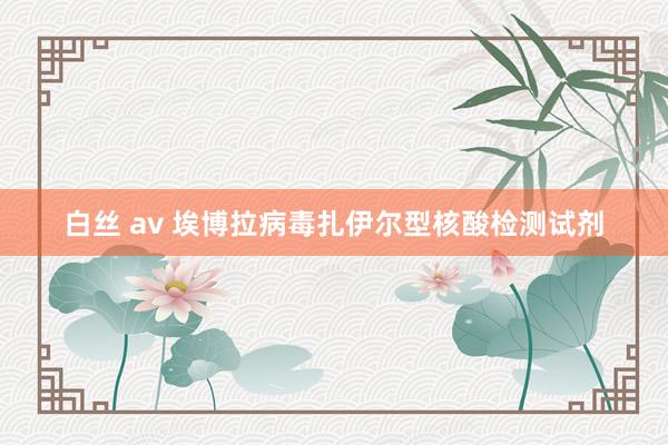 白丝 av 埃博拉病毒扎伊尔型核酸检测试剂