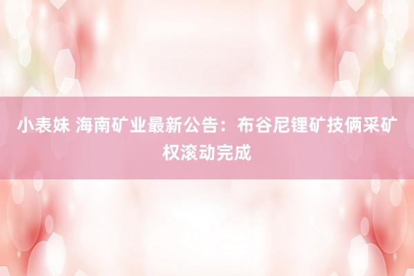 小表妹 海南矿业最新公告：布谷尼锂矿技俩采矿权滚动完成